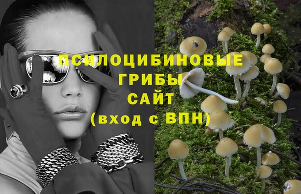 spice Волосово