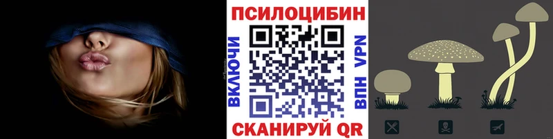купить закладку Нерчинск Псилоцибиновые грибы MAGIC MUSHROOMS